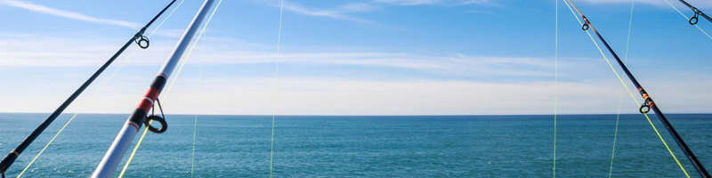 Why Center Console Boats Are Great for Fishing Trips