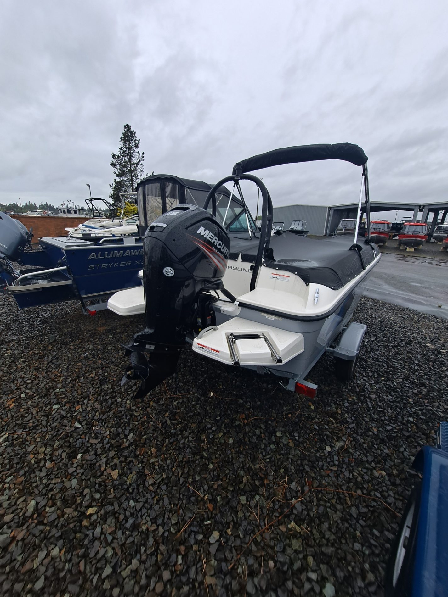 2019 Bayliner ELEMENT 18